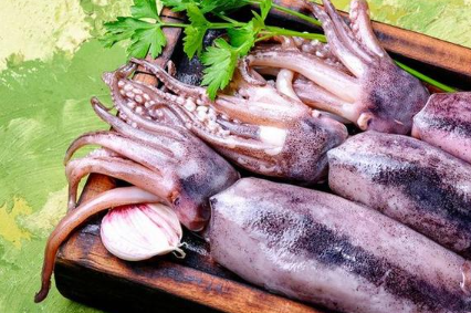 Calamares siendo procesados en una máquina de congelación