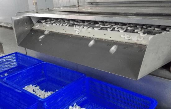 Alimentos congelados listos para almacenamiento