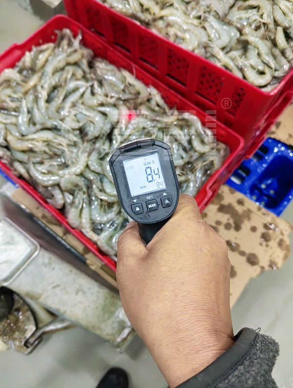 Calidad de Mariscos Congelados