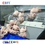 fruit spiral freezer