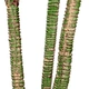 artificial plant sale artificial indoor plants