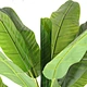 artificial plant sale artificial indoor plants  Planta
