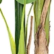artificial plant sale artificial indoor plants  Planta