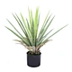 can plants grow with artificial light