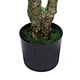 can plants grow with artificial light