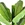 artificial plant sale artificial indoor plants  Planta
