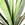can plants grow with artificial light