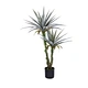 can plants grow with artificial light