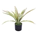 artificial indoor blossom tree arches Agave Tree artificial plant wholesale Potted Artificial Agave Tree for home decor