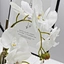 centerpieces orchid