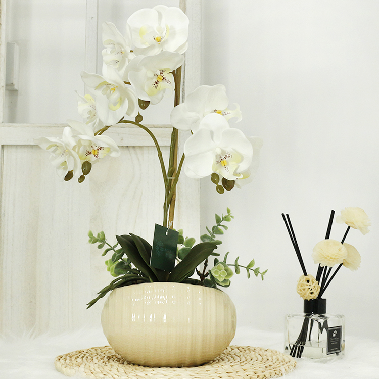 Real Touch Wedding Decoration Butterfly Artificial flower white wholesale orchid flowers