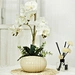 Real Touch Wedding Decoration Butterfly Artificial flower white wholesale orchid flowers