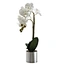 centerpieces orchid