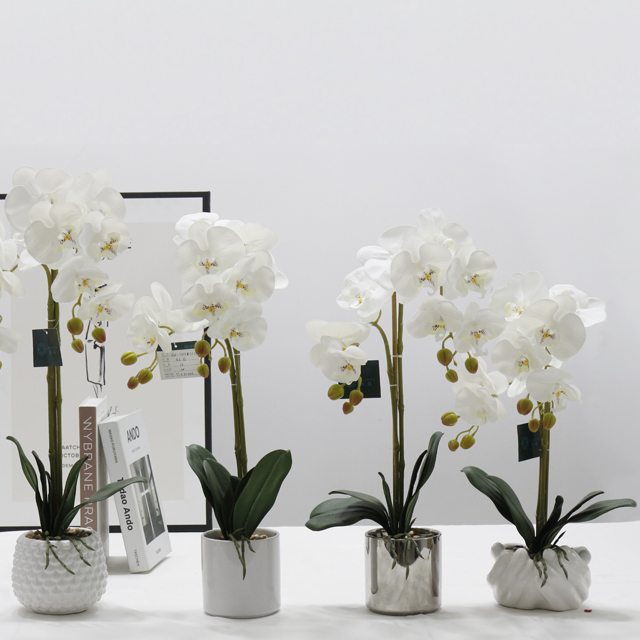 centerpieces orchid