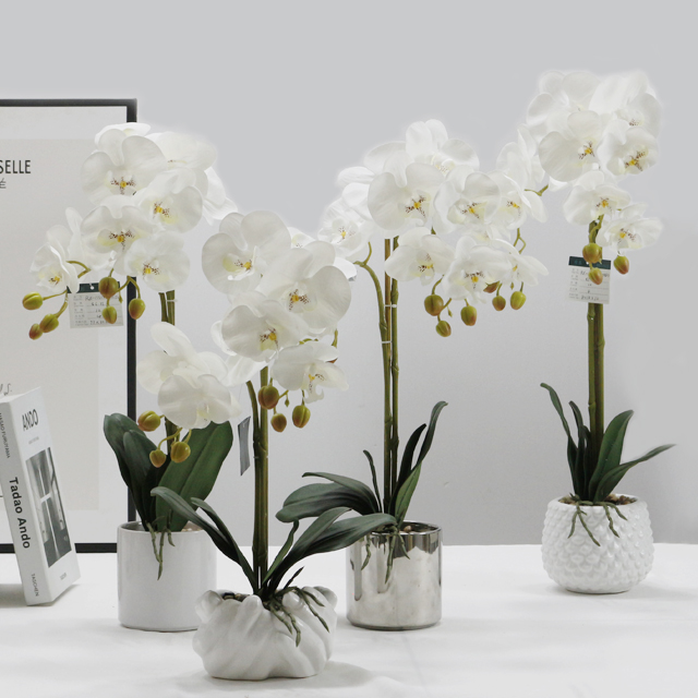 centerpieces orchid