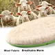 Thermal warm shoe insoles with merino wool - natural temperature regulation for cold weather