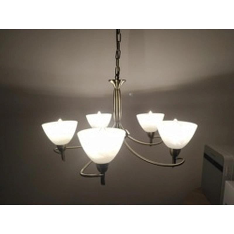 New Product Custom European Dining Table Pendant Chandelier Light Inventory clearance sale