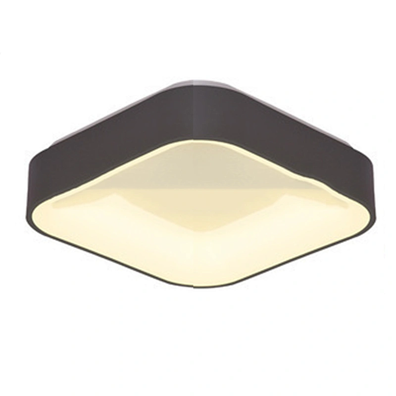 Zhongshan modern fashion living room acrylic aluminum led ceiling lamp