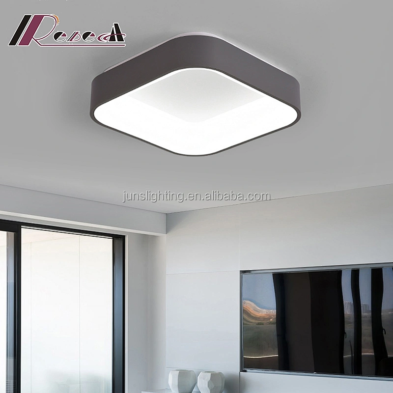 Zhongshan modern fashion living room acrylic aluminum led ceiling lamp