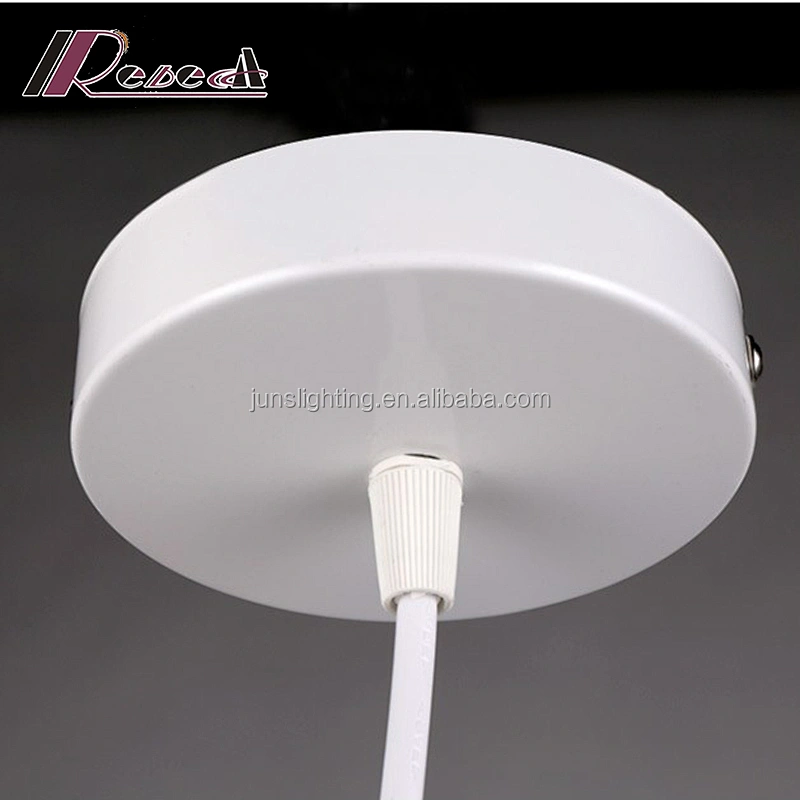 Dinning Room/club/ Coffee House Pendent Lamp Simple Metal Modern Pendant Lamp Contemporary Rebecca Lighting Electric Iron White