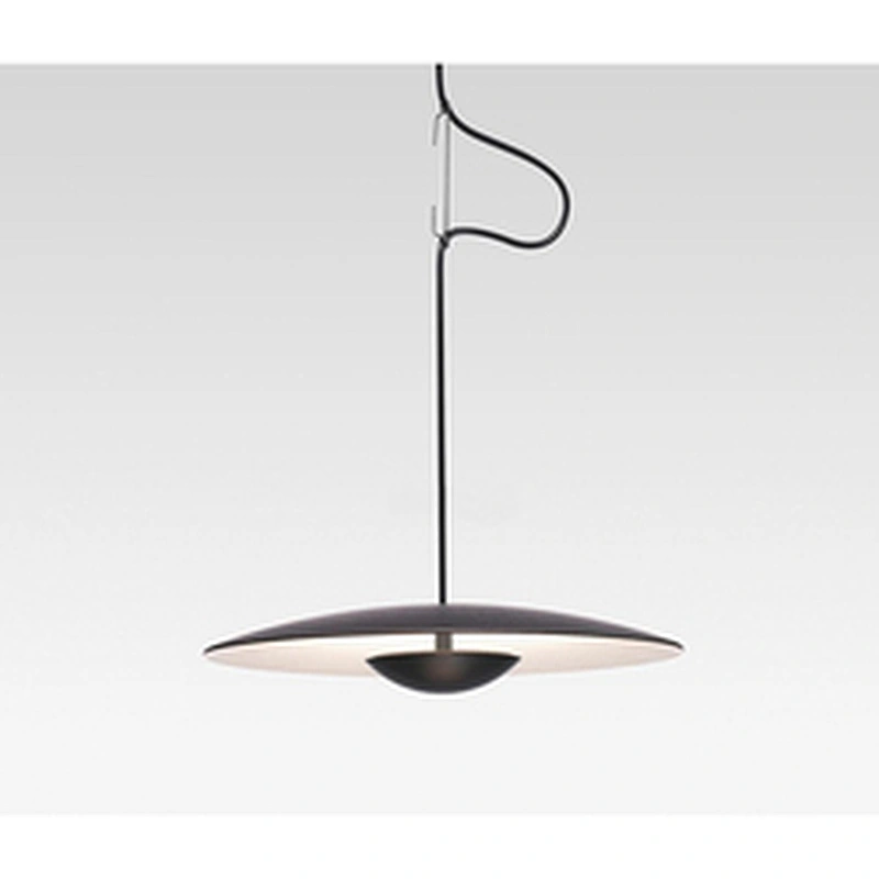 Modern Living Room Bedroom Dining Room Personality Chandelier Bar Counter Model Room Adornment Log Color Flying Lamp