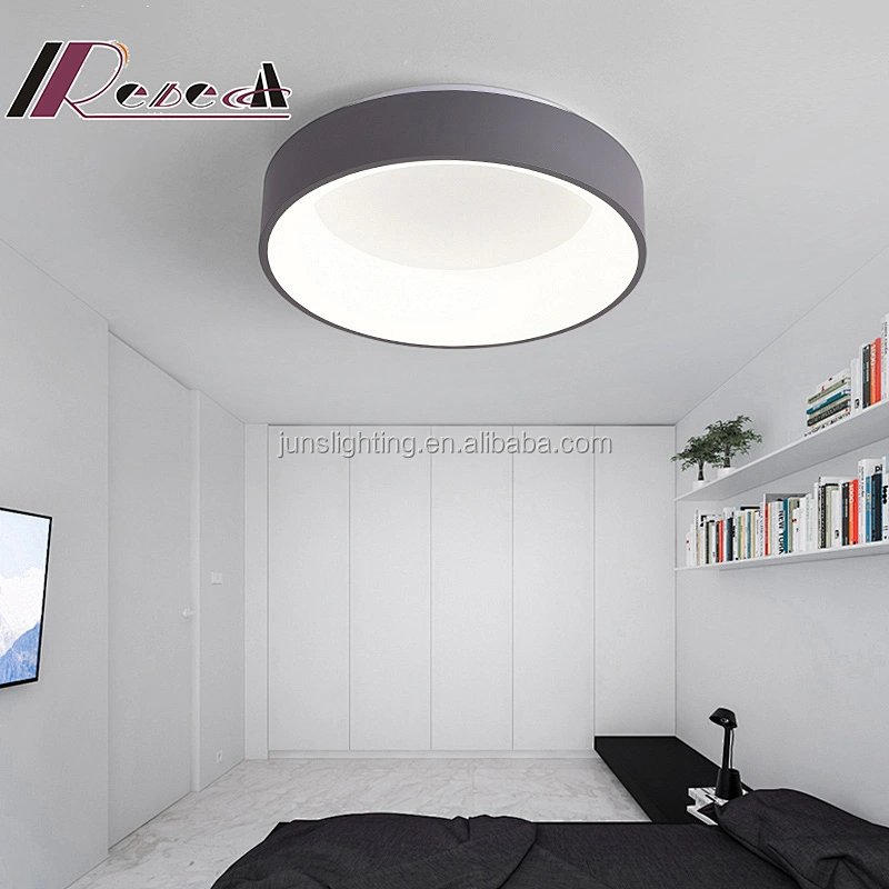 Zhongshan modern fashion living room acrylic aluminum led ceiling lamp
