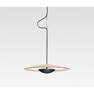 Modern Living Room Bedroom Dining Room Personality Chandelier Bar Counter Model Room Adornment Log Color Flying Lamp