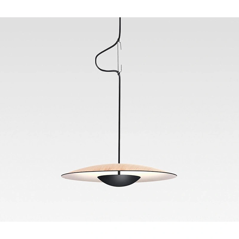 Modern Living Room Bedroom Dining Room Personality Chandelier Bar Counter Model Room Adornment Log Color Flying Lamp