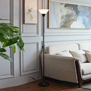 Modern nordic designer minimalist amazon black standing led floor lamp