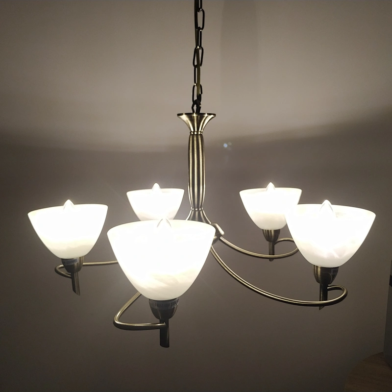 New Product Custom European Dining Table Pendant Chandelier Light Inventory clearance sale