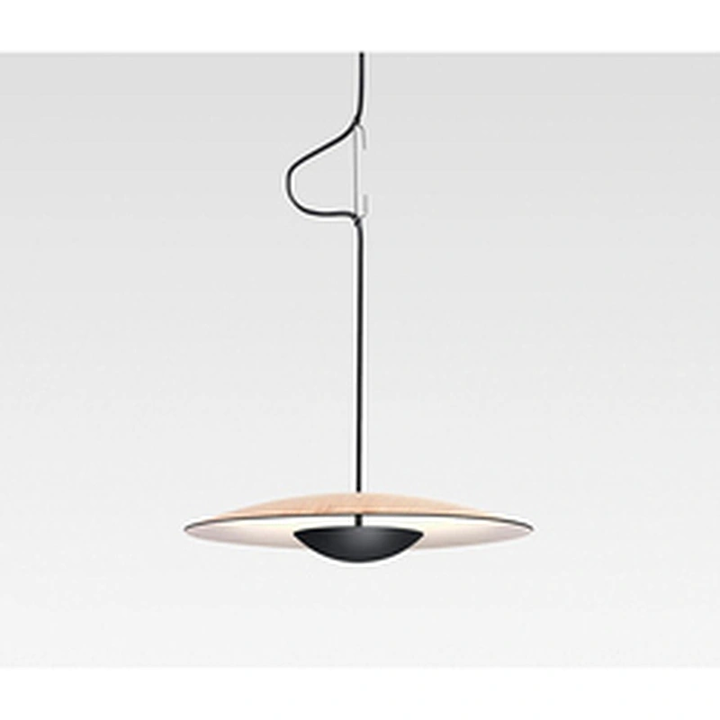 Modern Living Room Bedroom Dining Room Personality Chandelier Bar Counter Model Room Adornment Log Color Flying Lamp