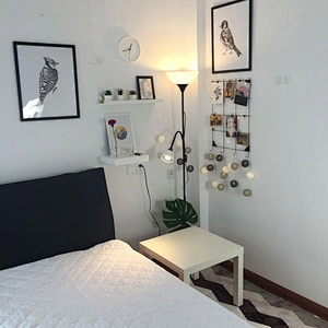 Modern nordic designer minimalist amazon black standing led floor lamp