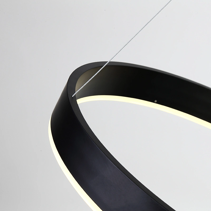 Modern simple creative big circle LED sitting room pendant lamp
