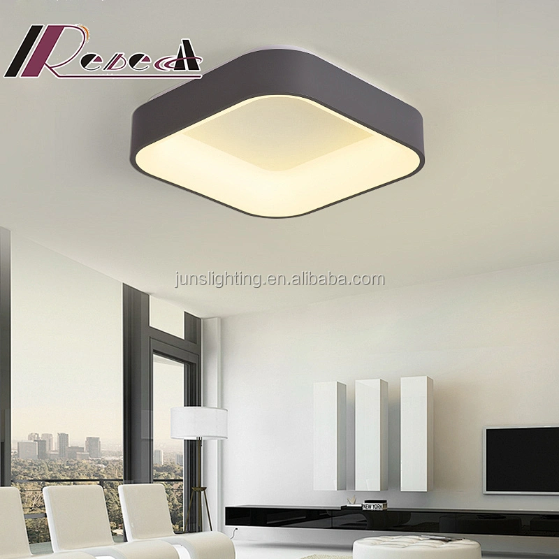 Zhongshan modern fashion living room acrylic aluminum led ceiling lamp