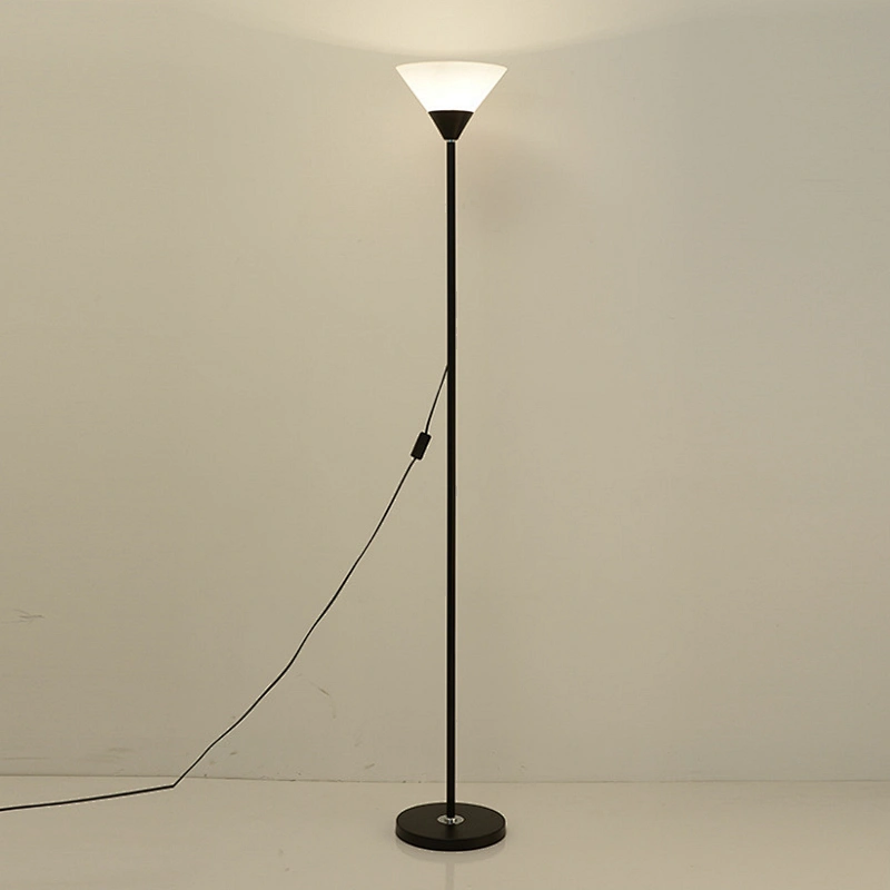 Modern nordic designer minimalist amazon black standing led floor lamp