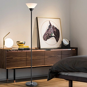 Modern nordic designer minimalist amazon black standing led floor lamp
