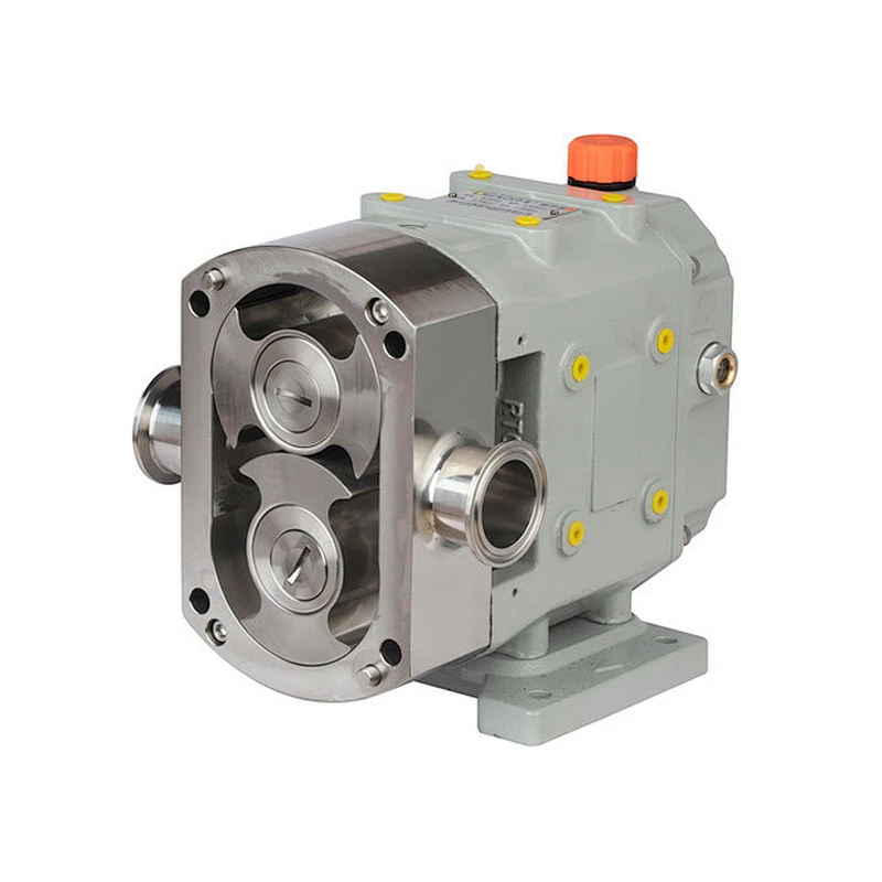 RT rotor pump