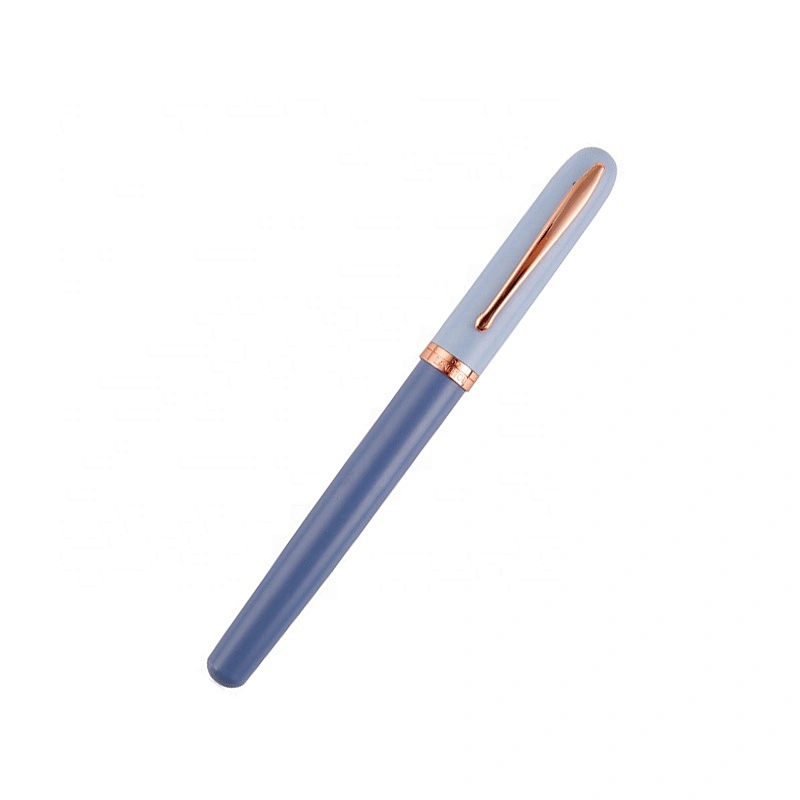 Eye-catching cheap daily fountain pen revolution fountain pen assorted colors