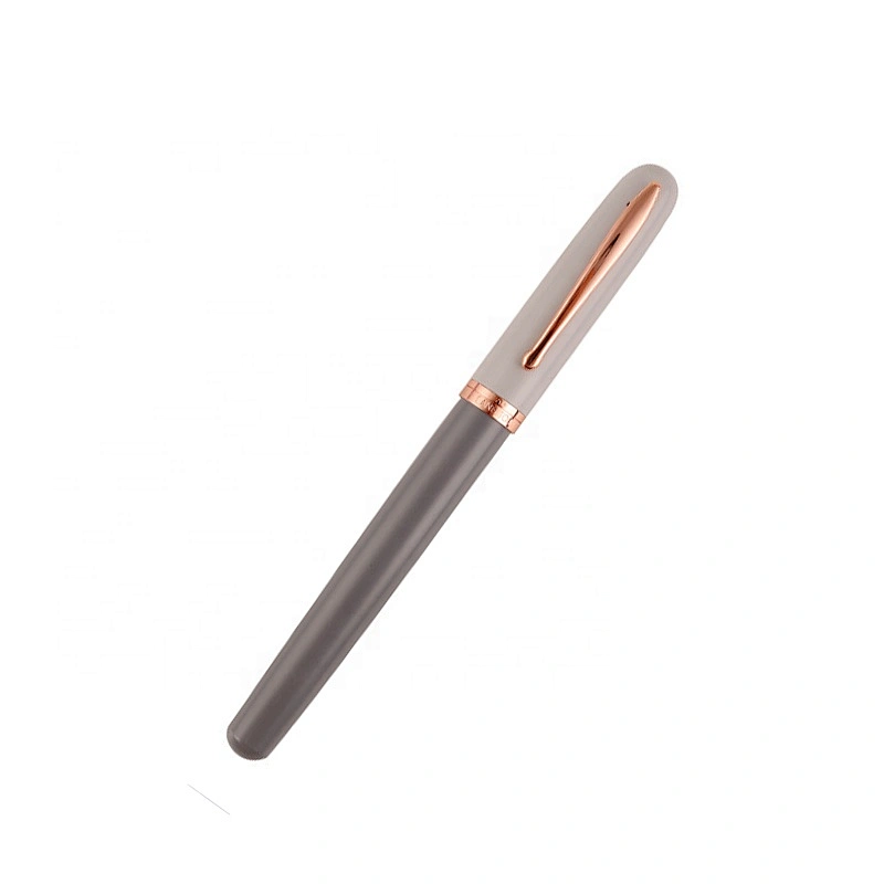 Eye-catching cheap daily fountain pen revolution fountain pen assorted colors
