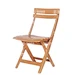 Foldable Chair Mould