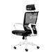 Plastic Office Chair Mould