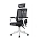 Plastic Office Chair Mould