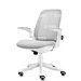 Plastic Office Chair Mould