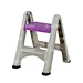 Step Stool Mould