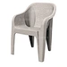 Arm Chair Mould