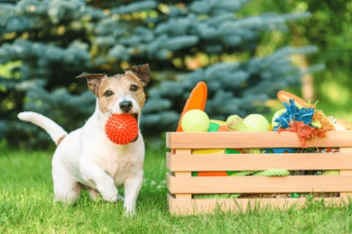 Vending machines can also sell pet products? That's crazy!