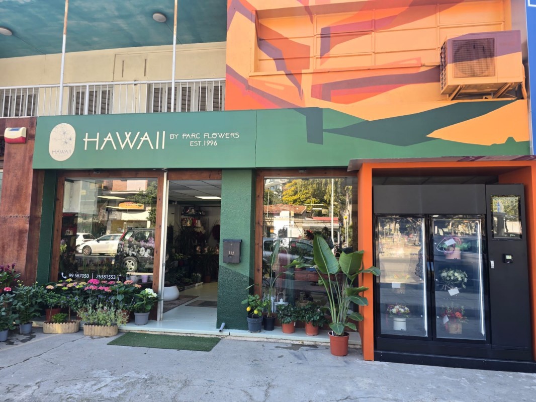 WEIMI Smart Flower Vending Machine with Cooling System for Sale in Cyprus