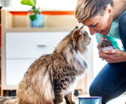 Vending machines can also sell pet products? That's crazy!