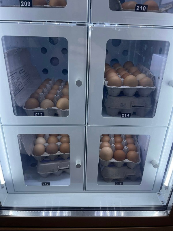 Mini Vending Machine for selling eggs in Canada