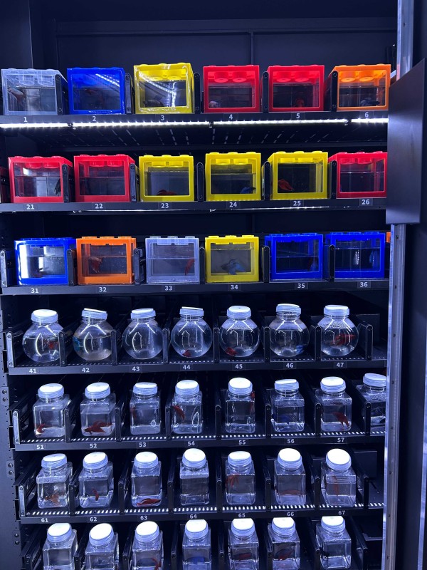 Live Fish Retail Smart Vending Machine at Guangzhou Ocean World